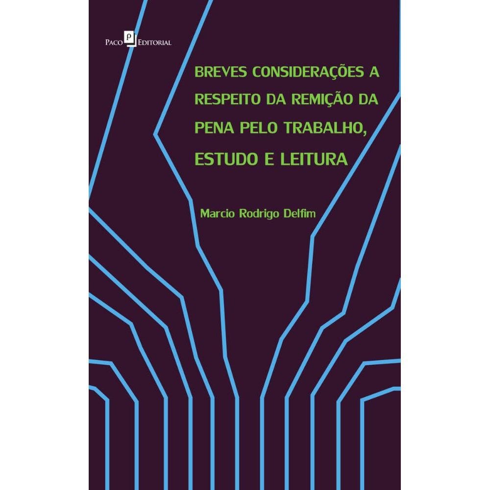 Breves Considerações a Respeito da Remição da Pena pelo Trabalho, Estudo e Leitura
