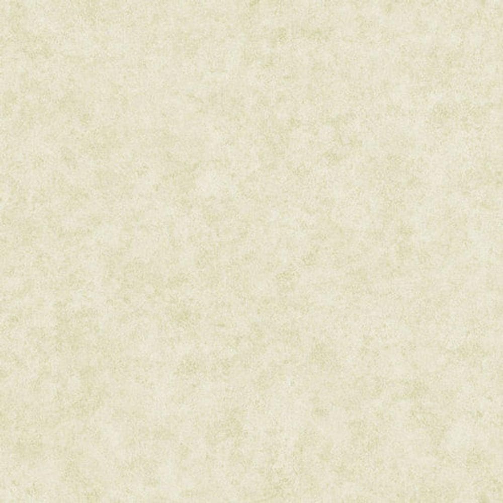 Papel De Parede The Young Ones Ym2383 Belga Rolo 10m X 0,53m