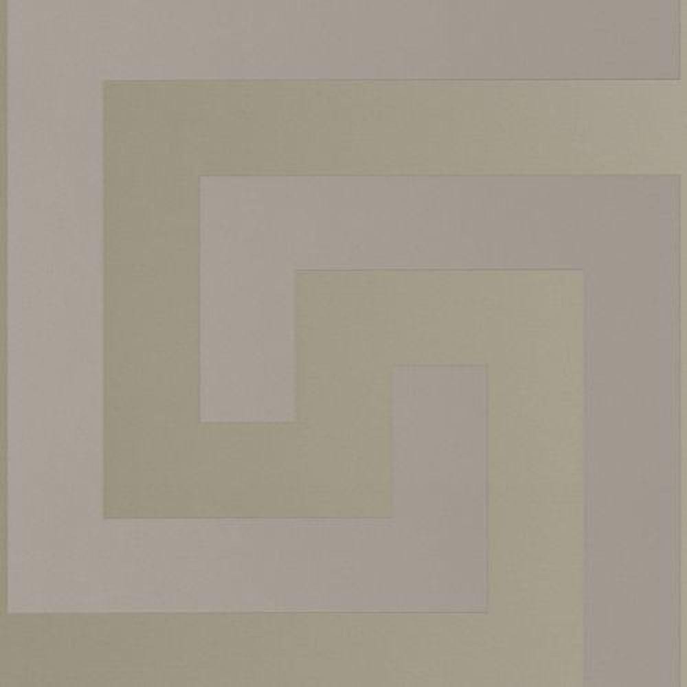 Papel De Parede Versace V Geométrico Cinza 386092