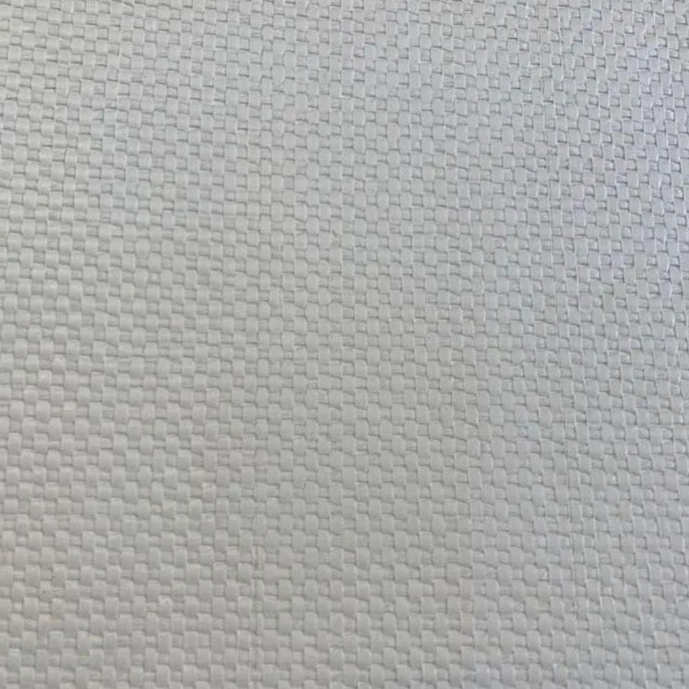 Papel De Parede Mica Palha Natural Off White G101