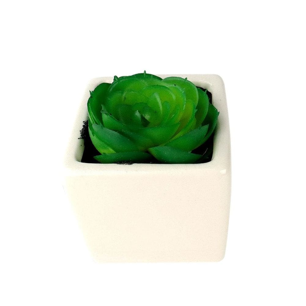 Vaso Decorativo de Cerâmica 9cm com Planta - Tudo em Caixa