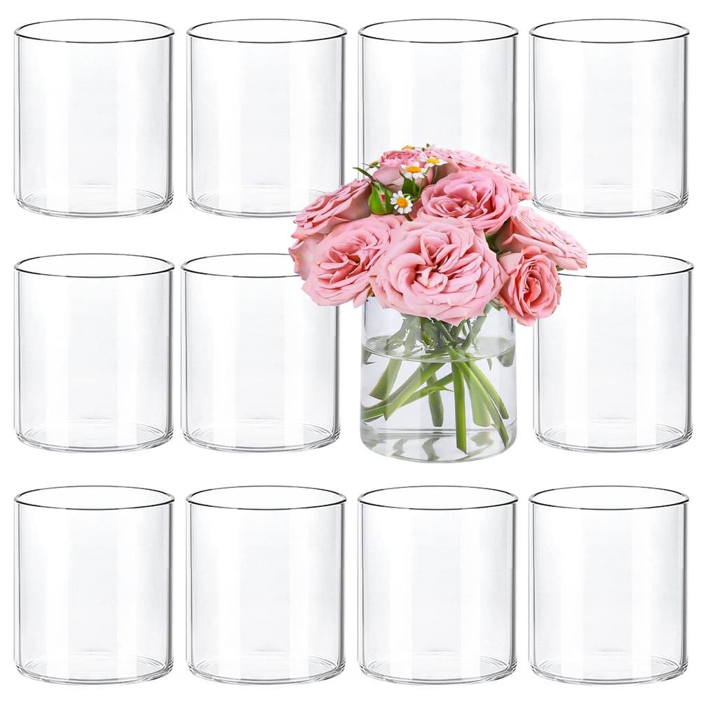 Vasos cilíndricos de vidro TBWIND Clear 10 cm de altura 12 unidades
