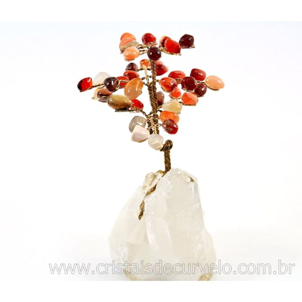 01 Árvore Felicidade Ágata Cornalina na Drusa Pedra Natural