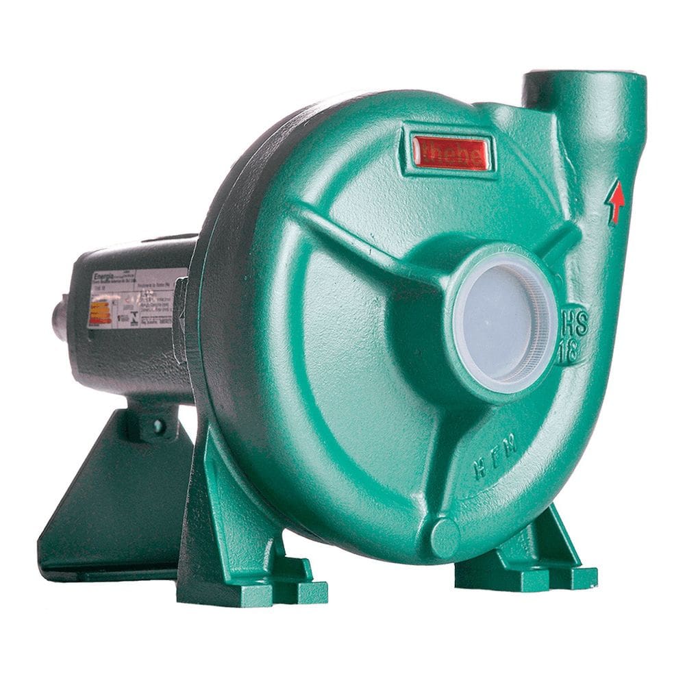 Bomba Monoestágio Mancalizada Ths-18 5,0 Cv Thebe Rotor 147cm Selo / Anel Viton