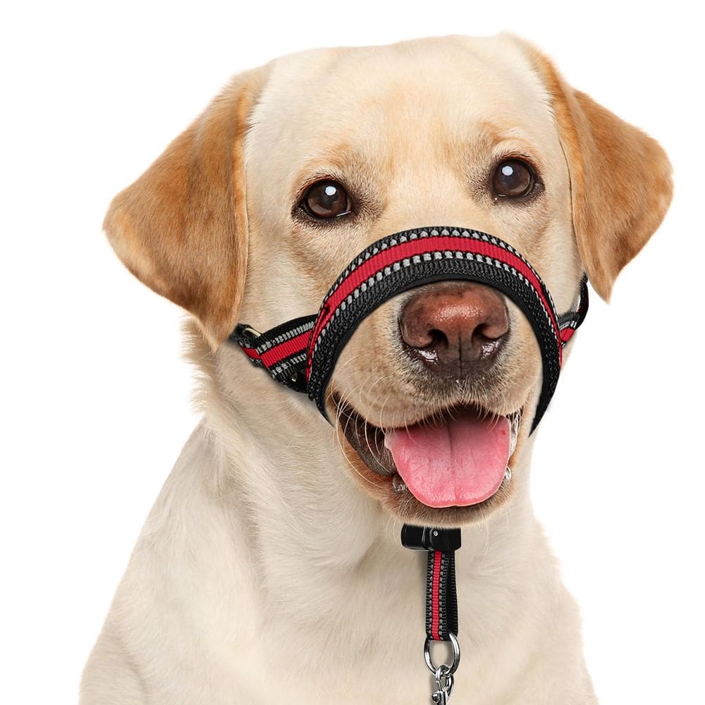 Coleira de cabeça de cachorro BARKLESS Soft No Pull acolchoada para cães de médio e grande porte