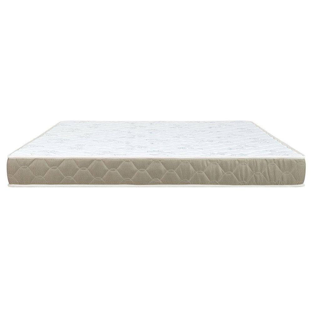 Colchão Casal Castor Sleep Max D33 138x188x18