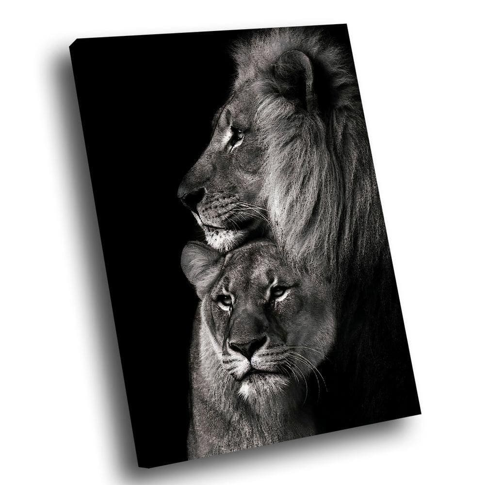 Quadro Leões Sintonia -- Br Artes