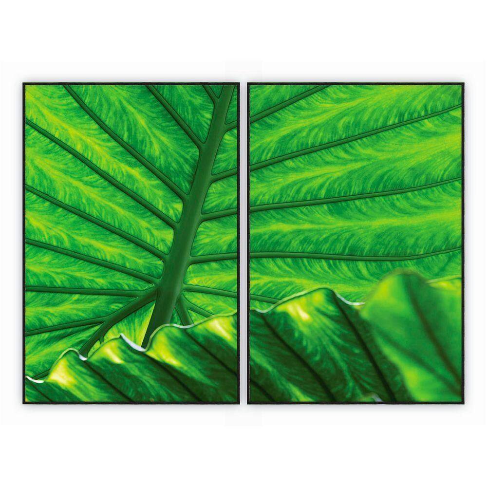 Kit Com 2 Quadros Decorativos Florais Com Moldura Para Sala Quarto Escritório 62x92 Floral 016