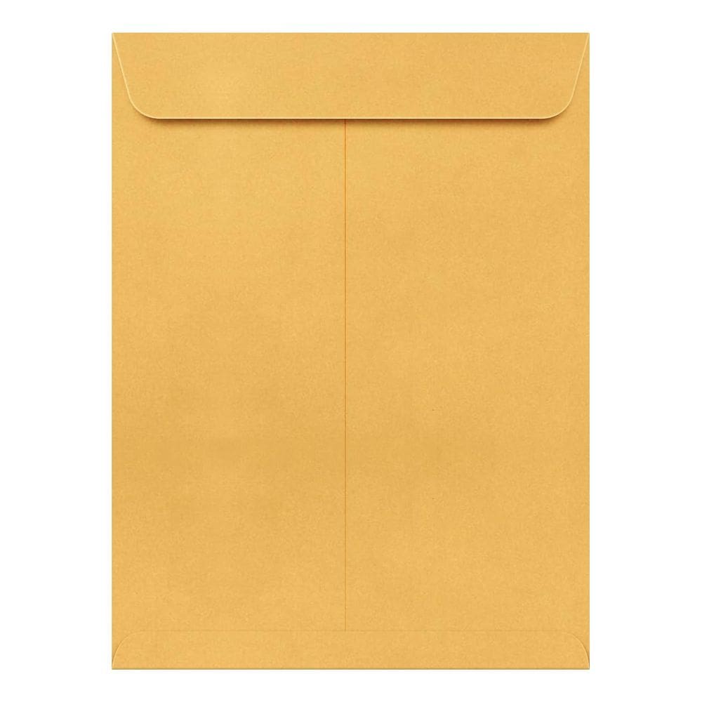 Envelopes de catálogo Kraft marrons de 9" x 12" — Ótimos para enviar folhetos, folhetos, folhetos, catálogos e documentos — Aba gomada forte