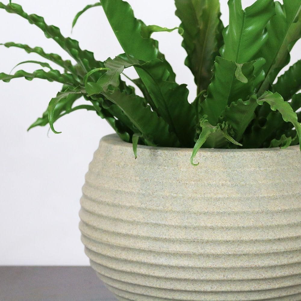 Vaso Bromélia 26 X 24 Cm Cor 11 - Granito Areia
