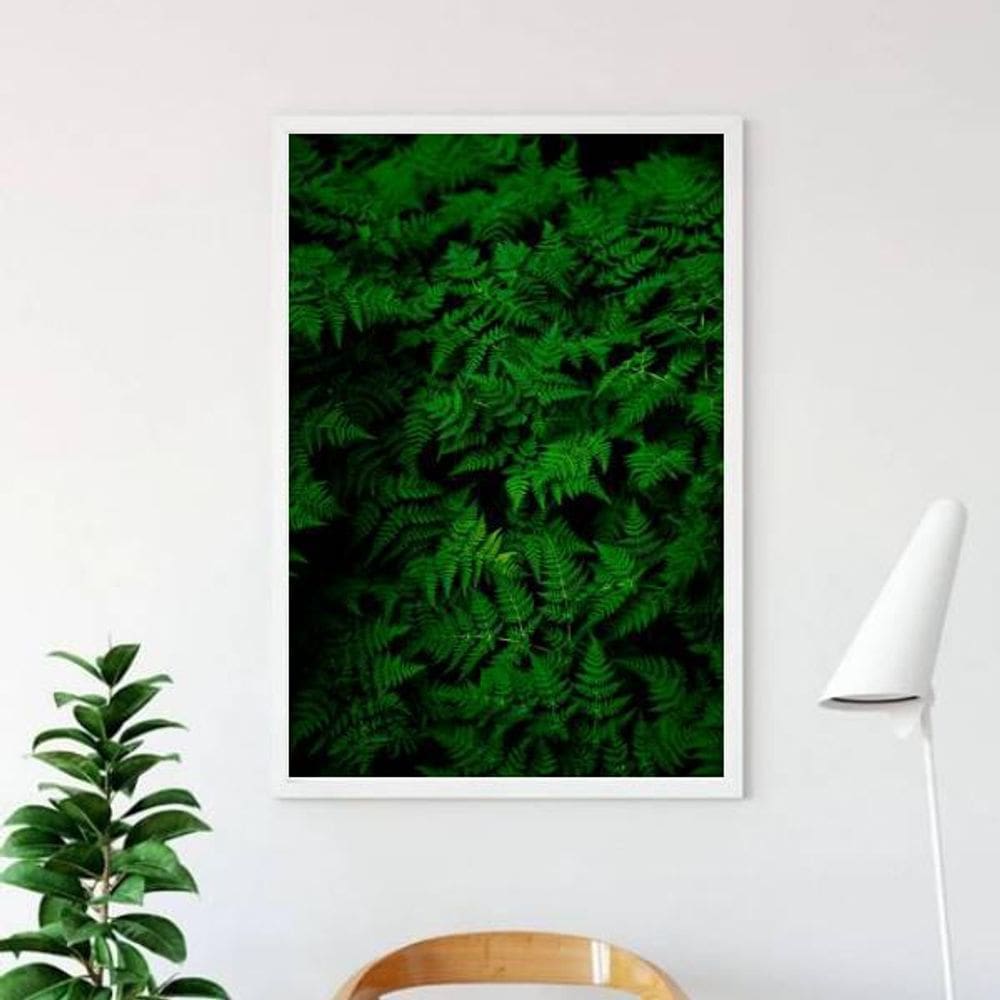 Quadro Decorativo Fotografia Samambaias 45X34Cm