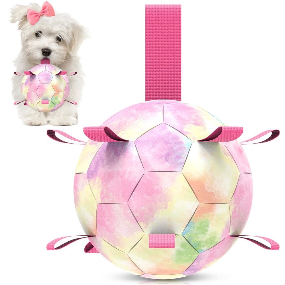 Bola de futebol QDAN Toy para cães pequenos e médios Rainbow 15cm