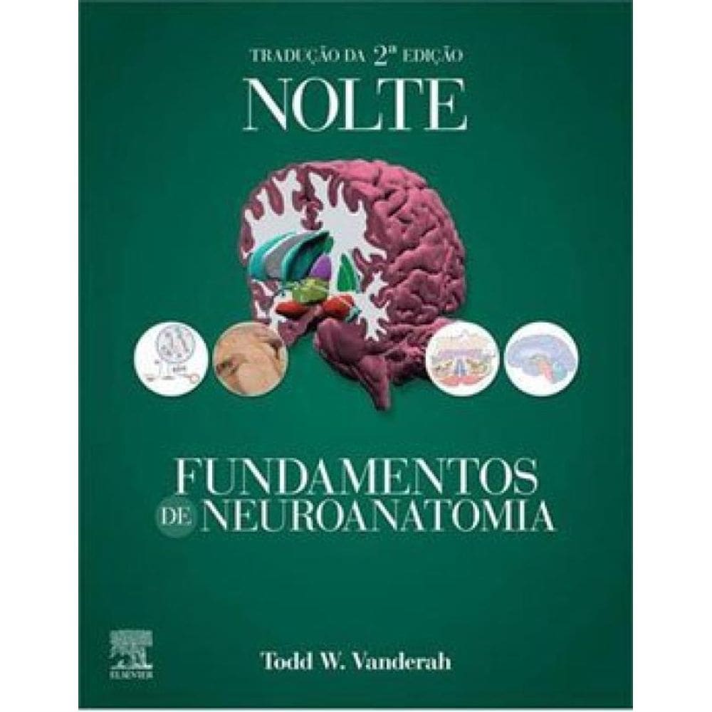 Nolte Fundamentos De Neuroanatomia