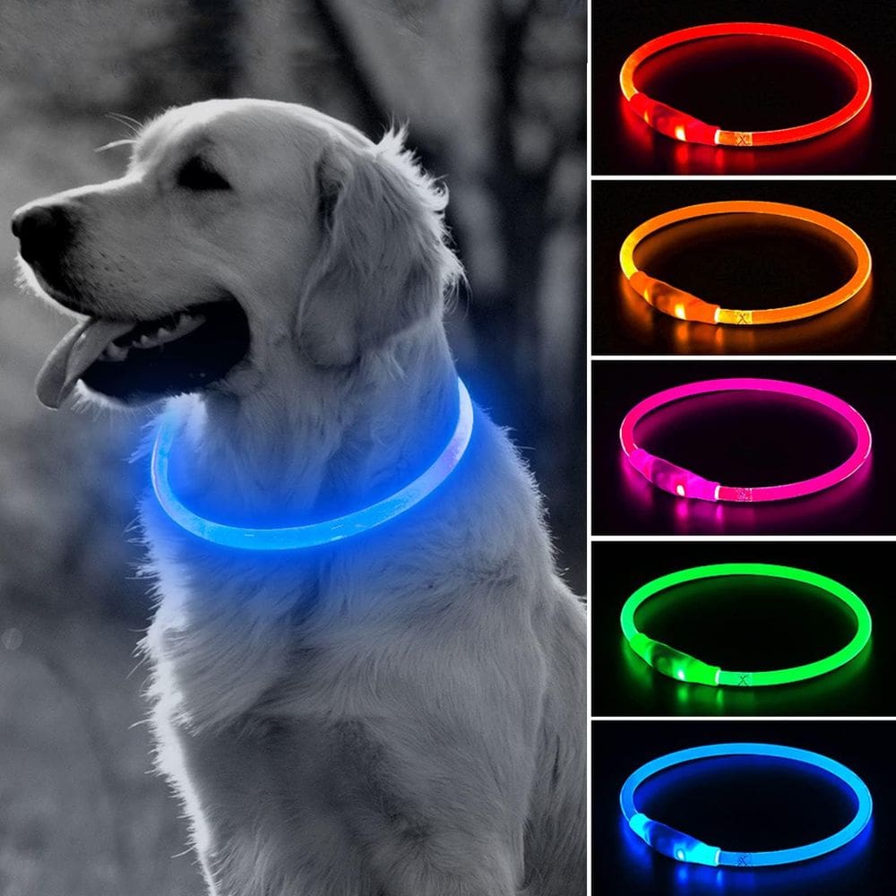 Coleira LED para cães BSEEN 360° visível à prova de chuva recarregável azul