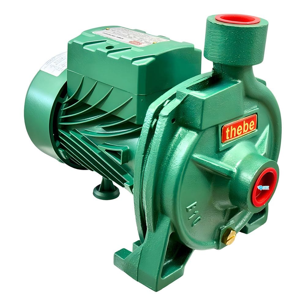 Motobomba D`água Thebe B-10 Br 1/4cv Monofásico 127/220v