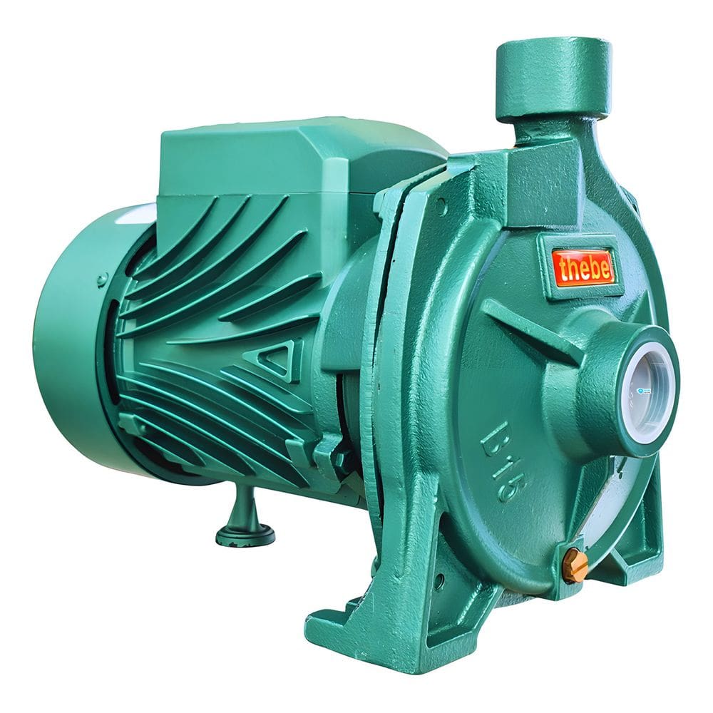 Motobomba Centrifuga Thebe B-15 1.5cv Monofásico Cor Verde