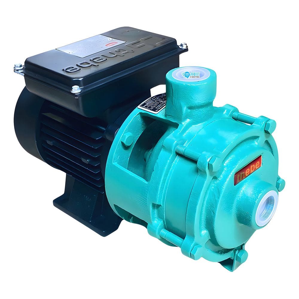 Motobomba Água Multiestagio Thebe P-11/2 Nr 1cv - 127/220-254v