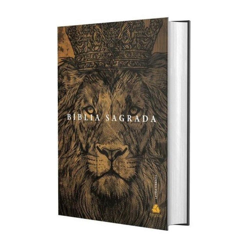 Bíblia Sagrada Acf - Letra Grande