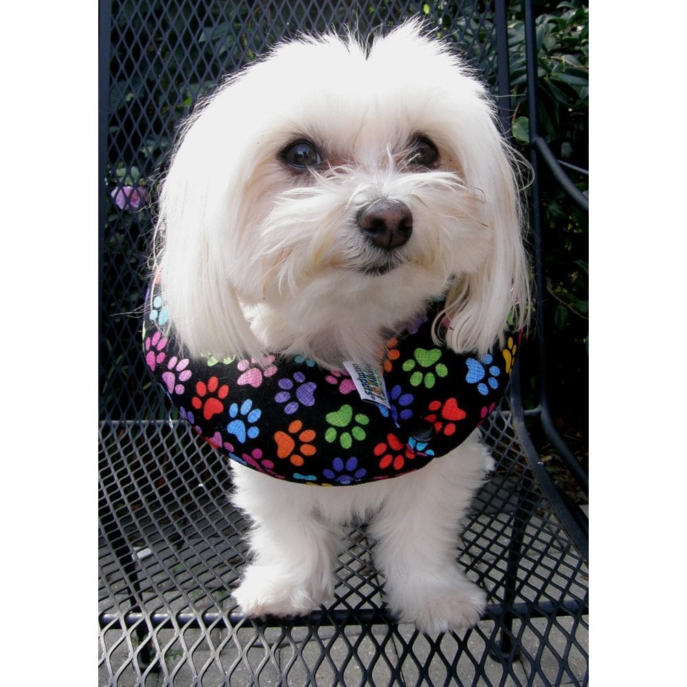 Coleira de segurança recheada Puppy Bumpers Rainbow Paw para cães