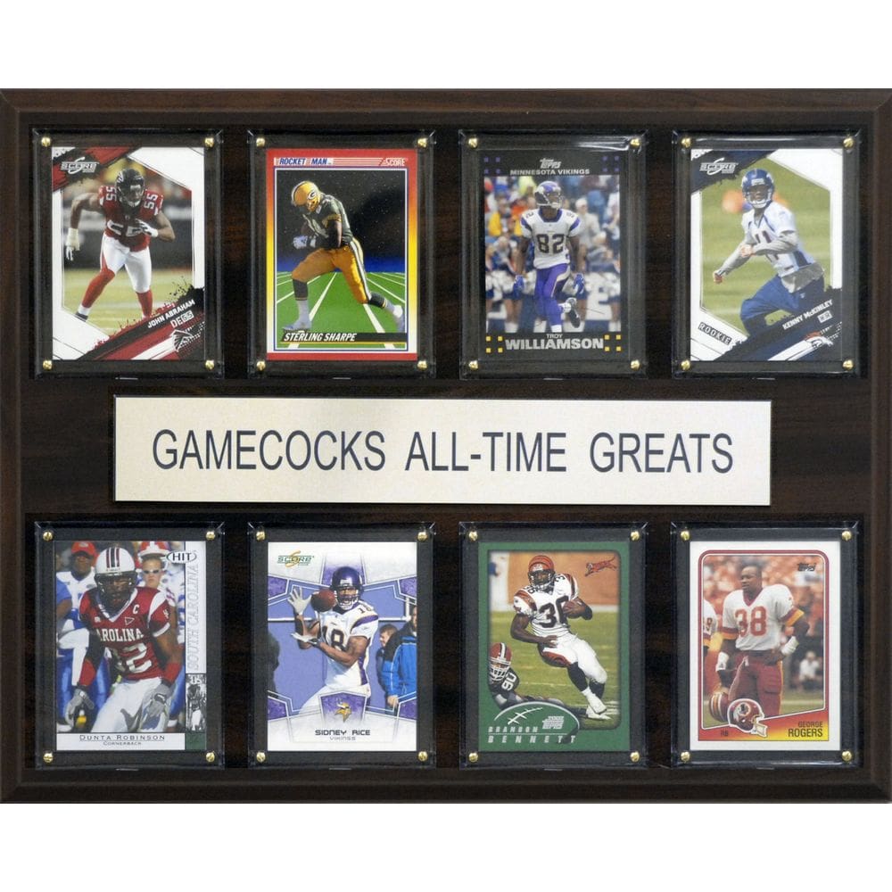Placa C&I Collectables NCAA South Carolina Gamecocks