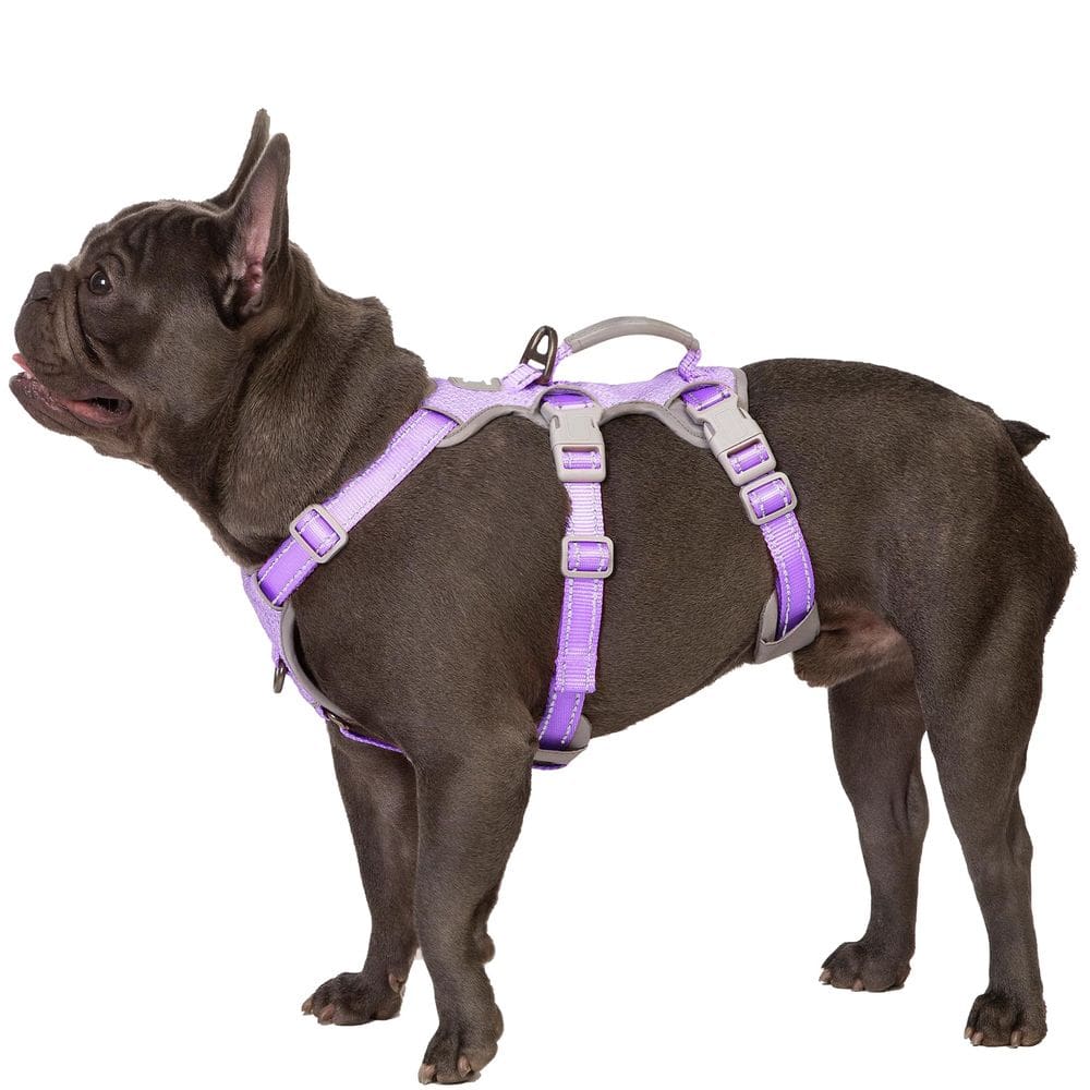 Arnês para cães Huntboo Escape Proof Reflective Lavender Purple M