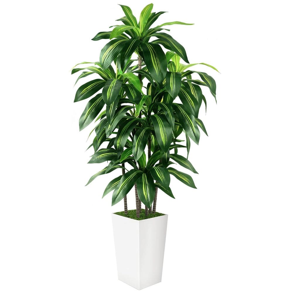 Árvore Dracaena artificial PUUKU 150 cm com plantador branco interno