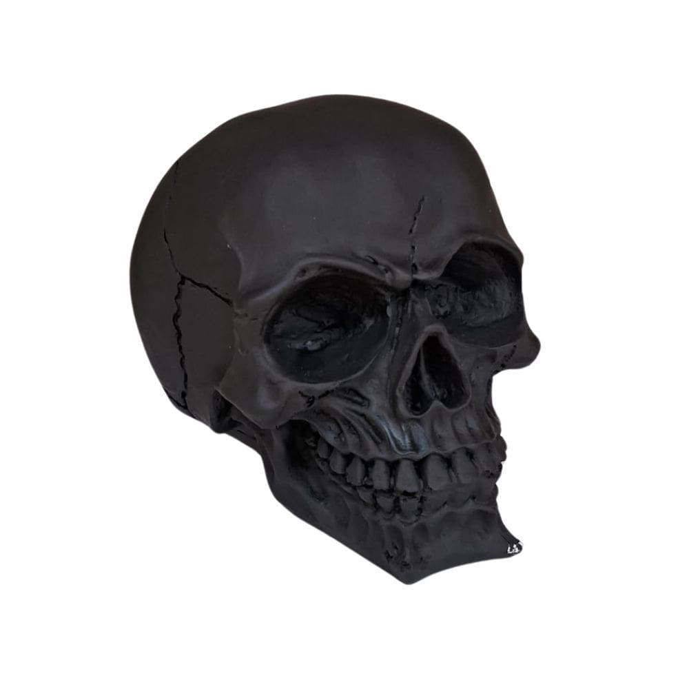 Caveira Socrates Preta R.Deco SKULL-10