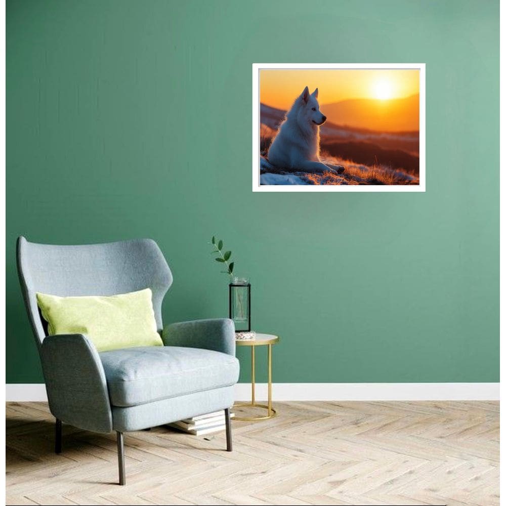Quadro Decorativo Husky Albino Sol - 50X70Cm