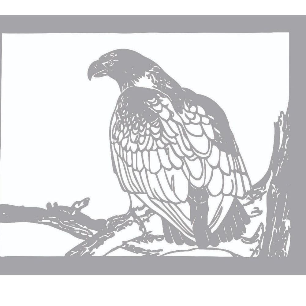 Quadro Decorativo Cinza Mdf Gavião 40X20Cm