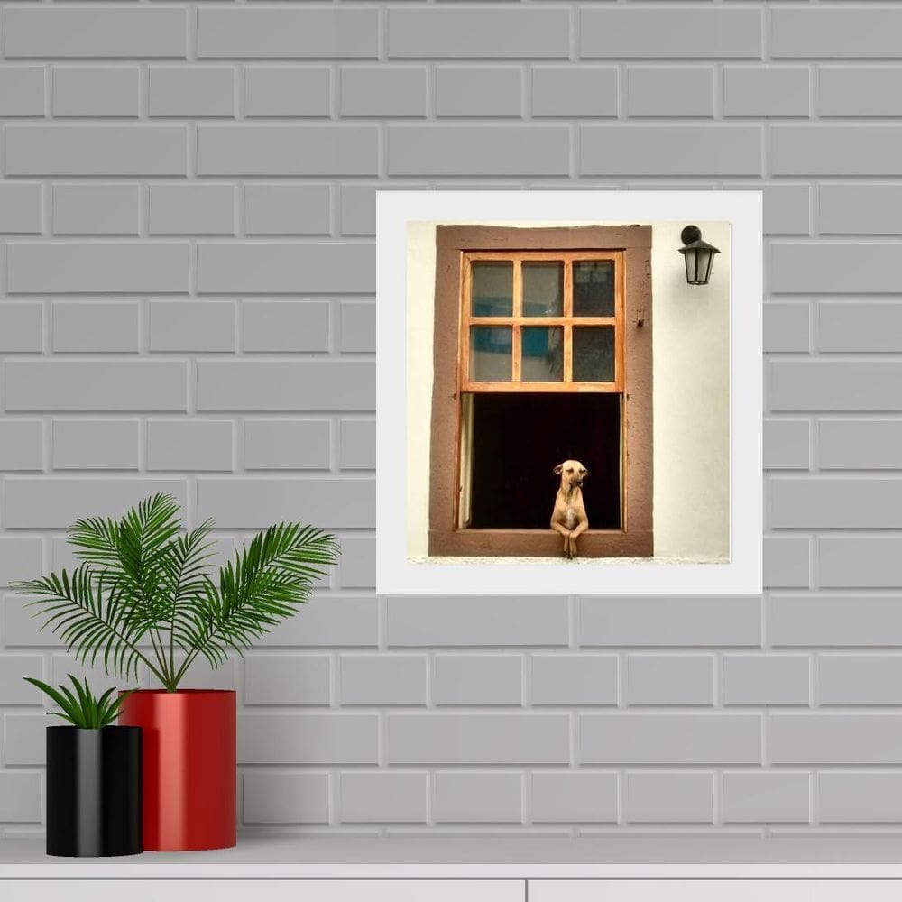 Quadro Quadrado Cão Caramelo Janela - 33X33Cm