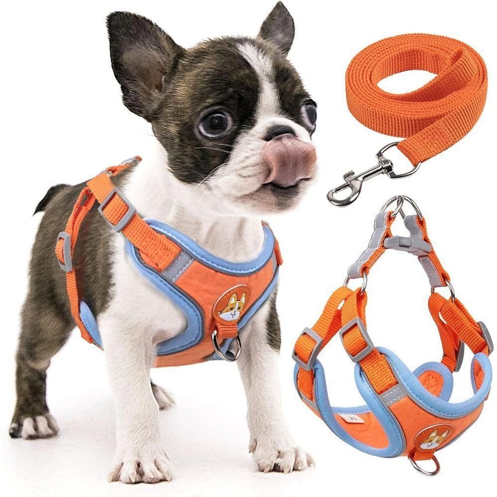 Coleira Peitoral Coleira Para Cachorro Com Guia Para Pet Pequenos E Médios Colete Confortável Cor:laranja