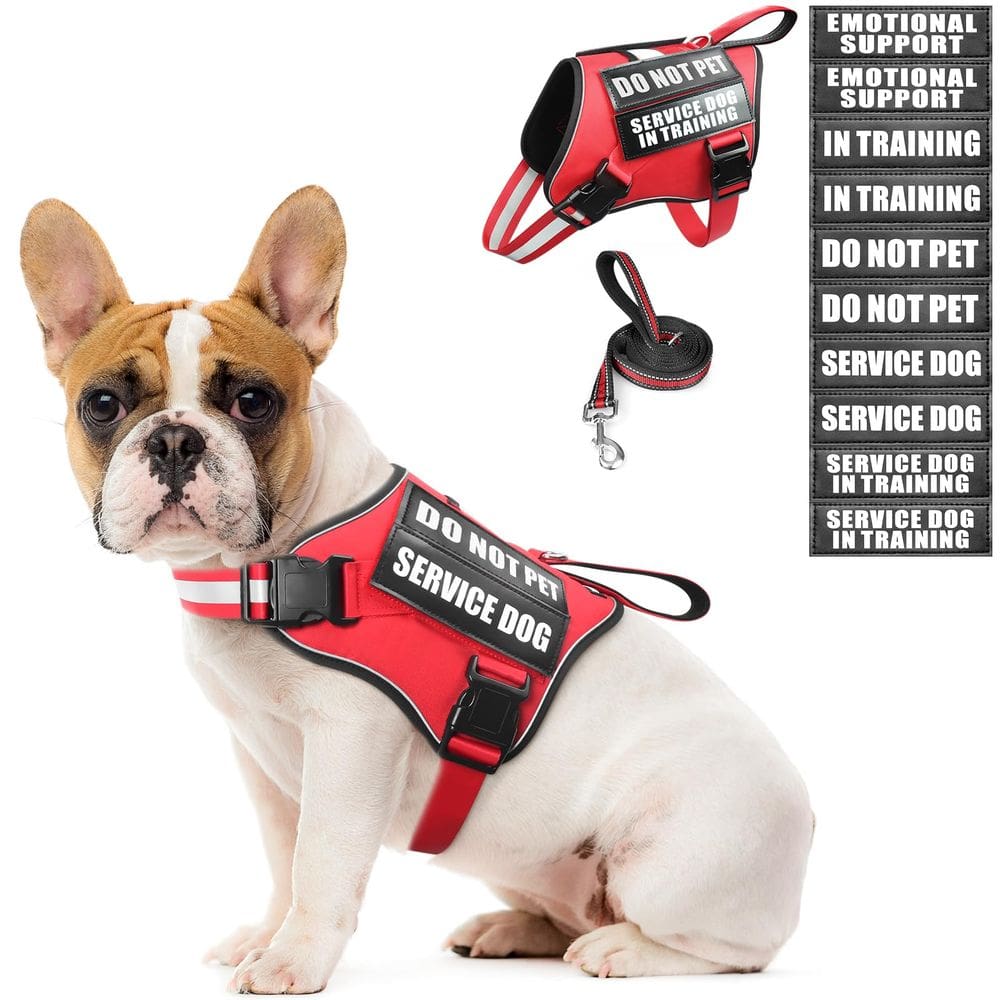 Conjunto de colete e coleira para cães de serviço MOOGROU vermelho tamanho S