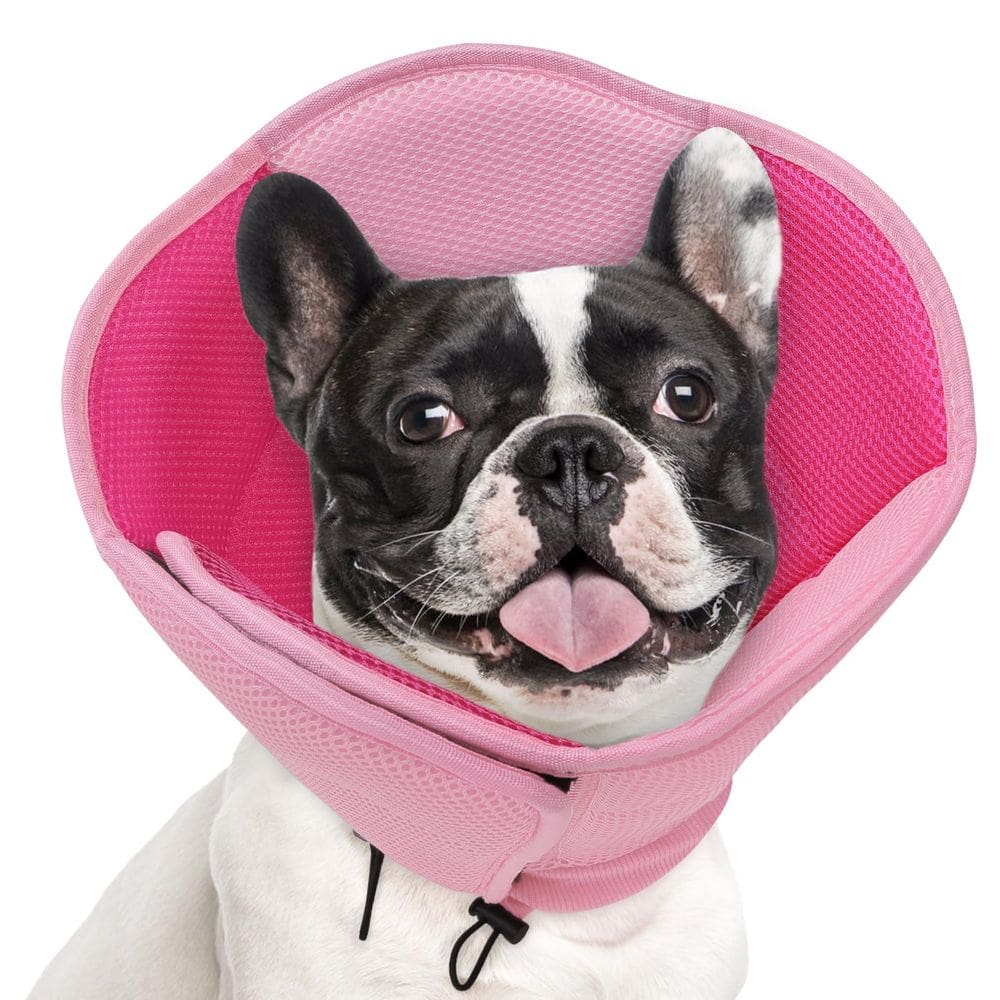 Coleira de cone para cães AOFITEE para cães médios após cirurgia
