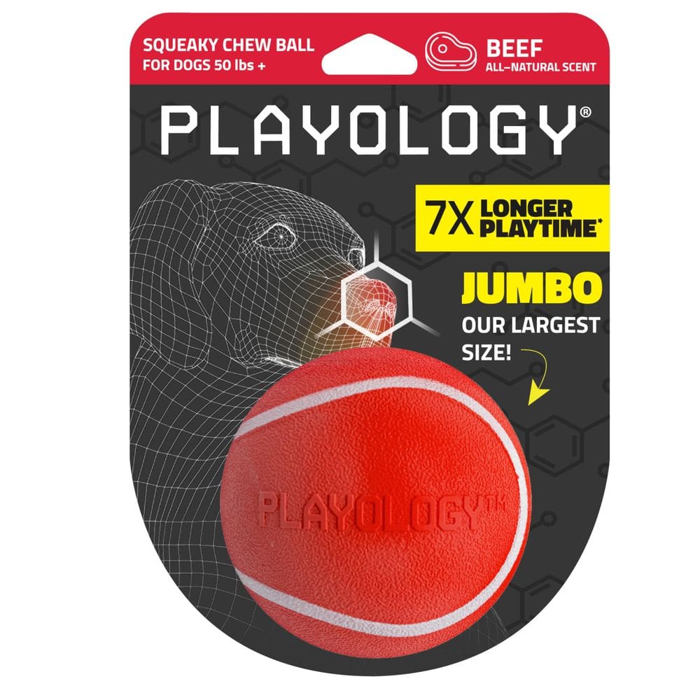 Chew Ball Playology Squeaky para cães com aroma de carne bovina em tamanho grande