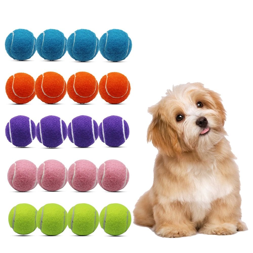Bolas de tênis Magicorange pequenas de 2 polegadas para cães, pacote com 20