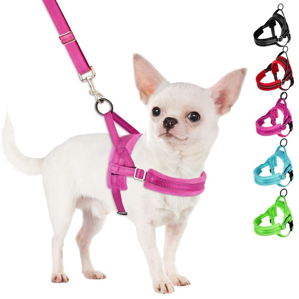 Conjunto de arnês e coleira para cães SlowTon No Pull para cães pequenos