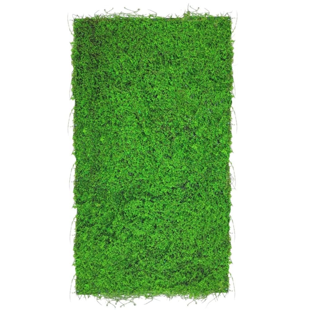 Placa Jardim Vertical Musgo (50x100) Verde SMO