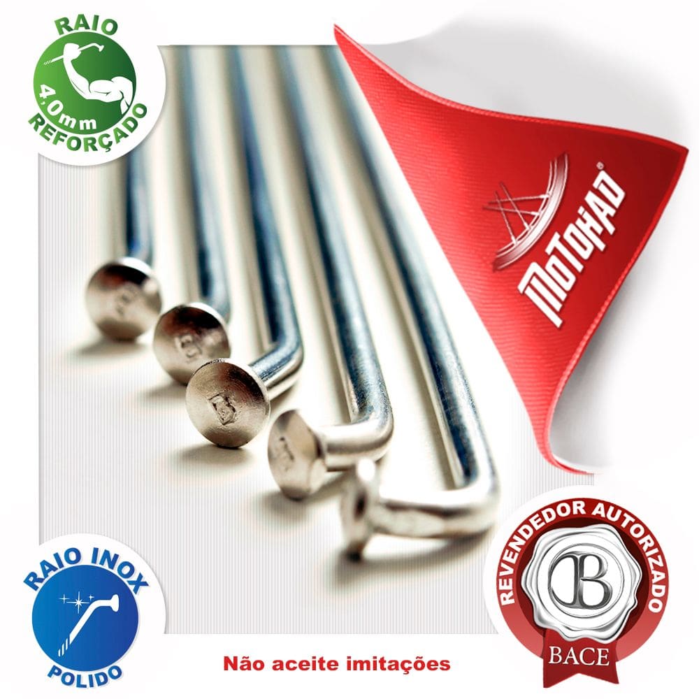 Jogo de Raio Inox Triumph Bonneville T120 Traseiro 4,0mm