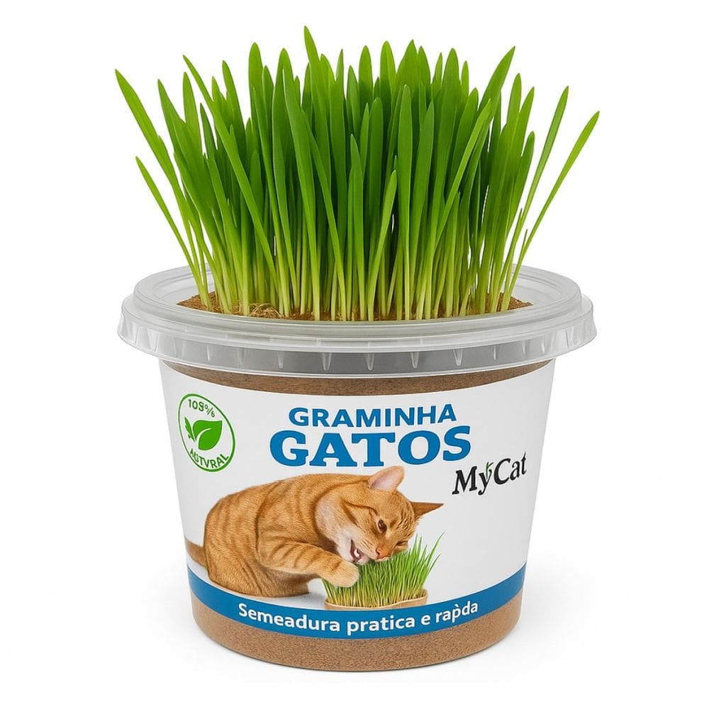 Graminha Natural Gatos 50g MyCat Pronta Para Cultivo
