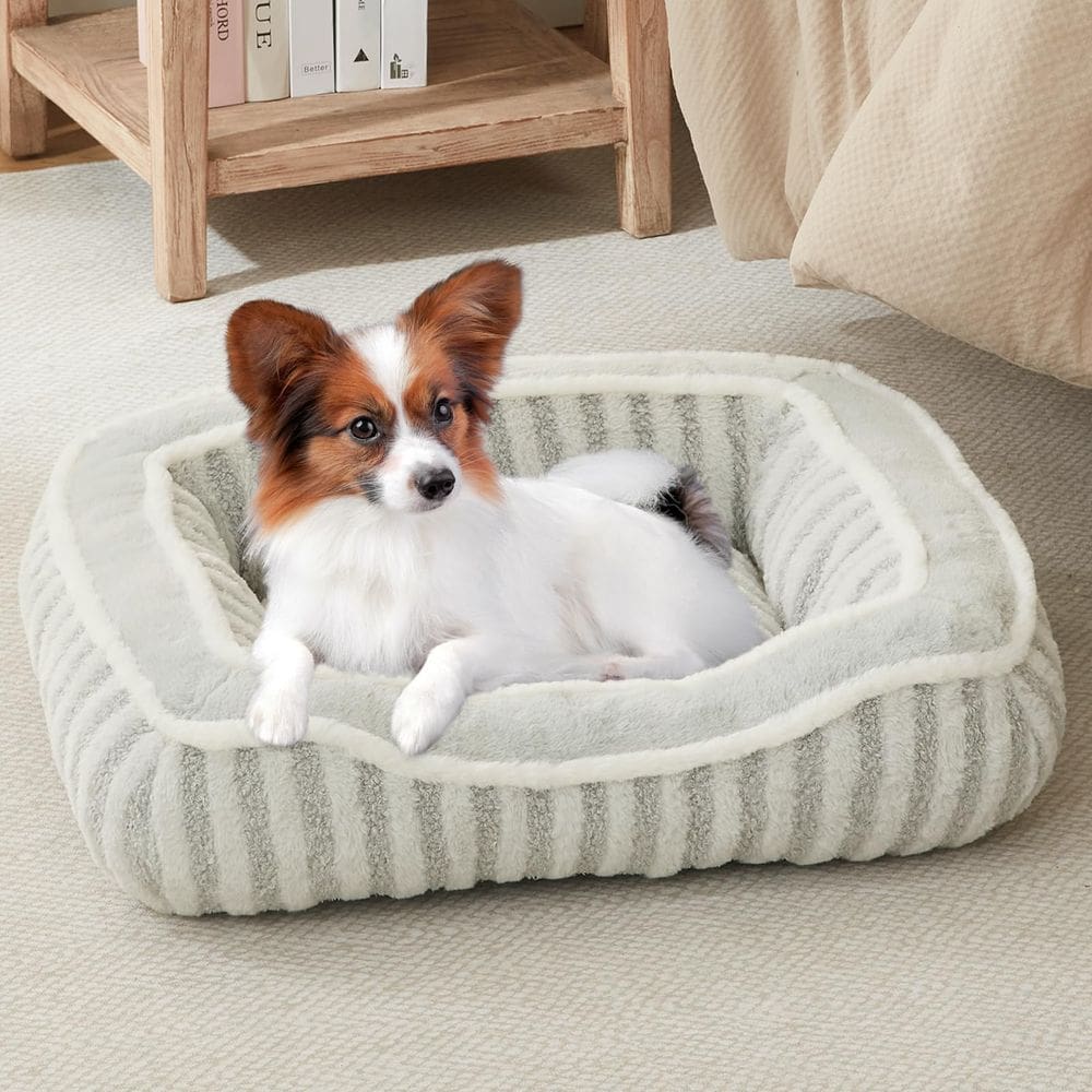 Cama de cachorro DEBANG HOME para raças de cães extra pequenos com travesseiro cinza