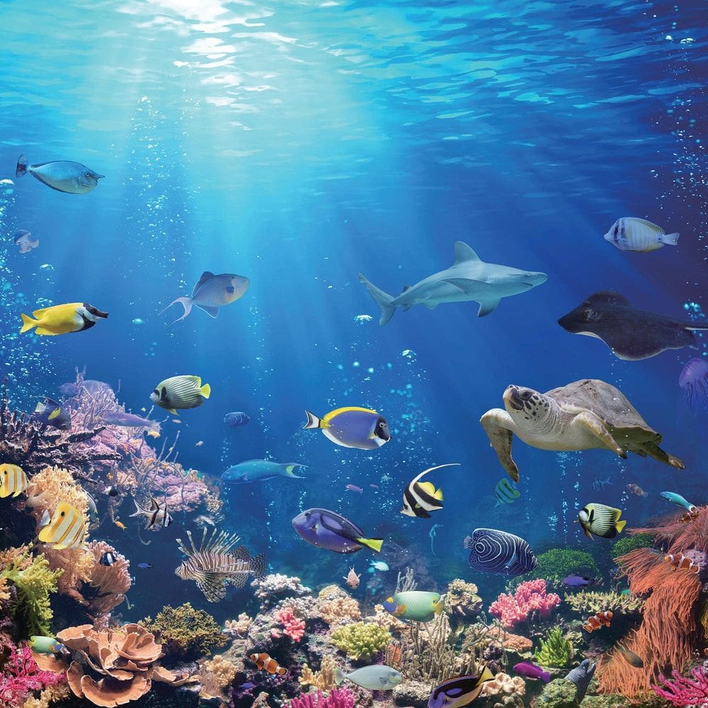 Quebra-cabeça Toynk Under the Sea Coral Reef 500 peças