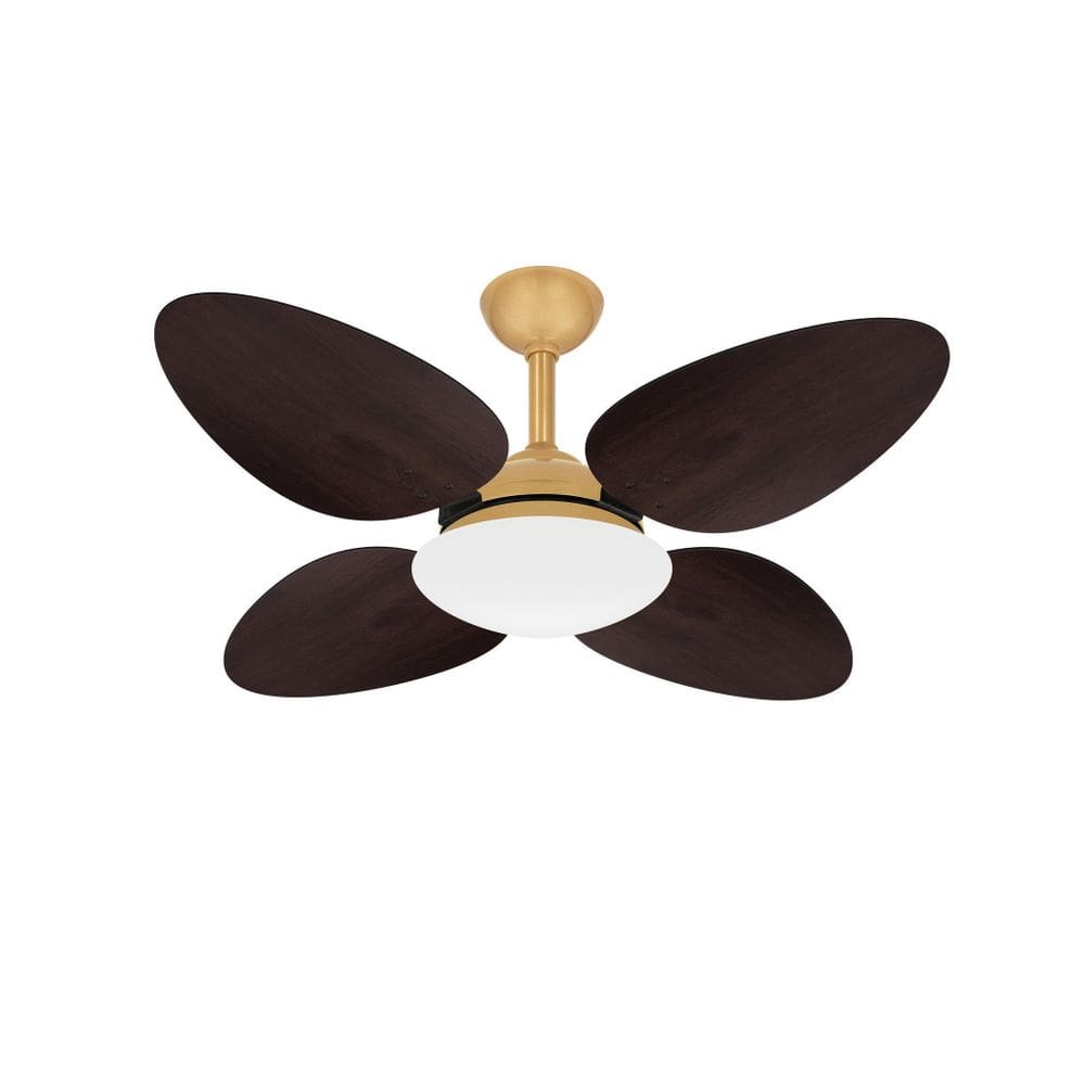 Ventilador Teto Dourado 4 Pás Econômico Trevo Ventax 220V