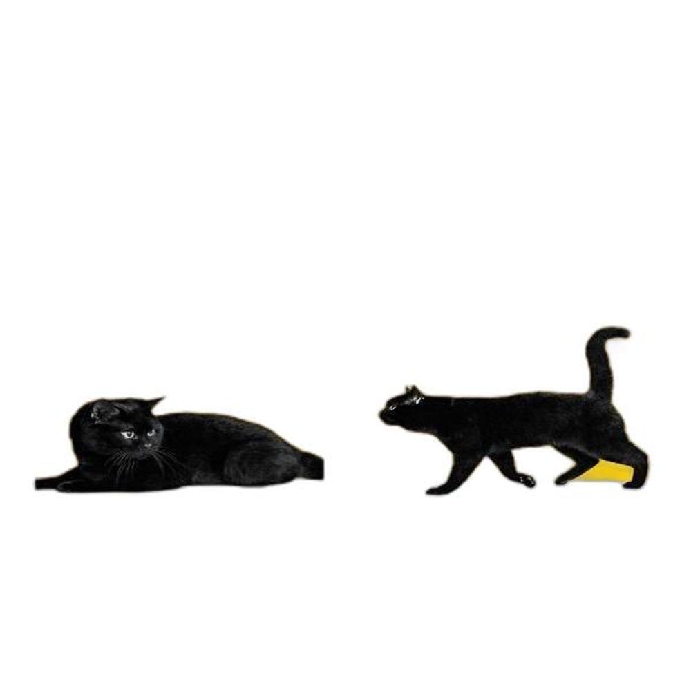Kit 2 Quadros Gato Preto Fundo Amarelo 45X34Cm - Com Vidro