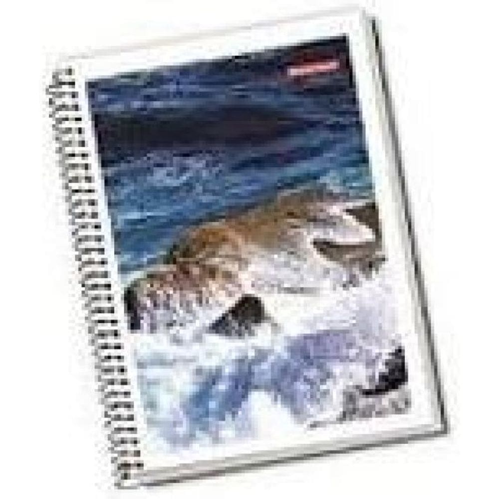 Kit 4 Cadernos Universitário Espiral Capa Dura 96 Folhas