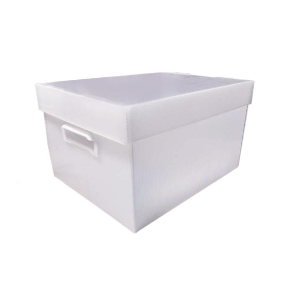 Caixa Organizadora Polibras Novaonda 21,2X28X37Cm Cristal