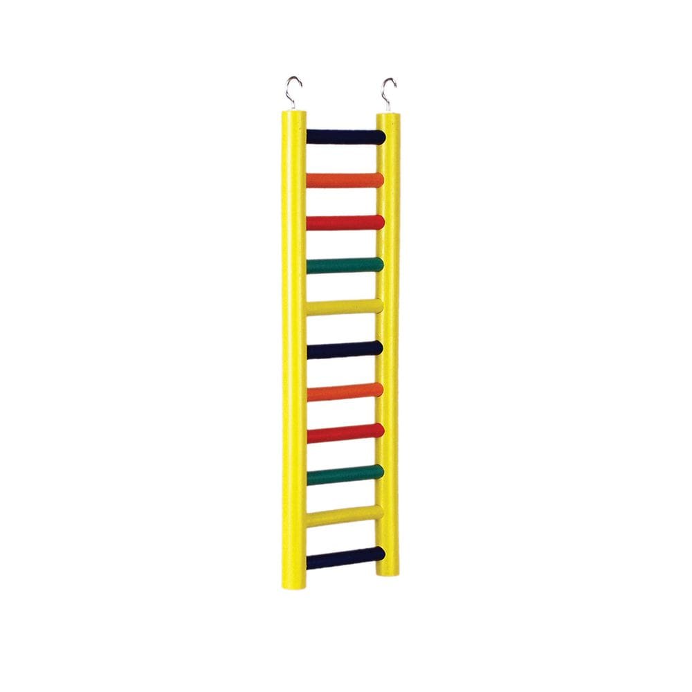 Bird Ladder Prevue Pet Products Carpenter Creations 45 cm