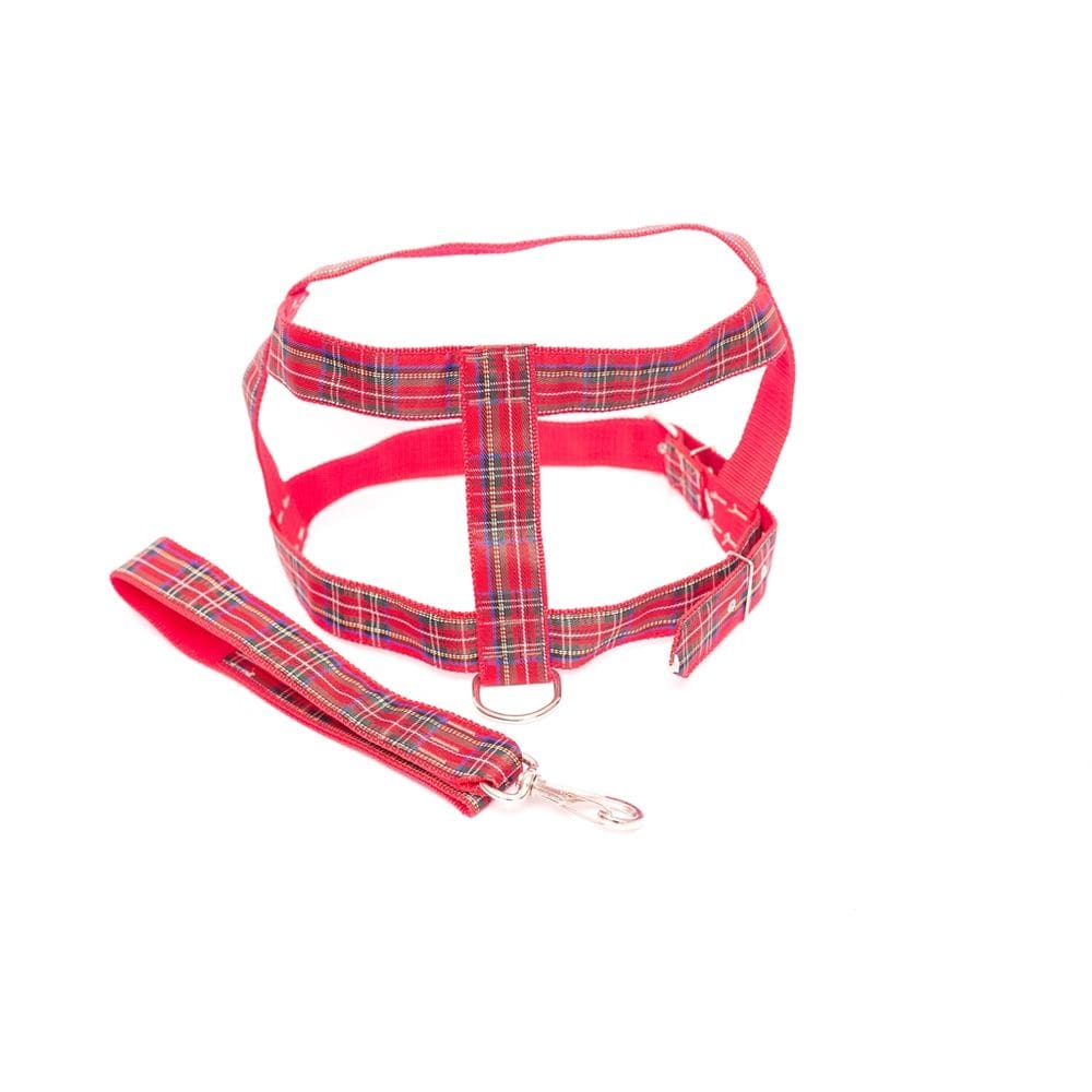 Kit Guia peitoral 40mm xadrez vermelho tam 11 82cm-103cm