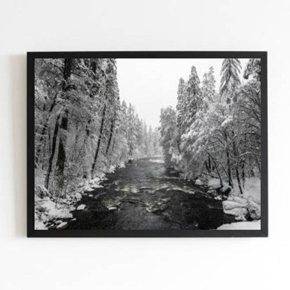 Quadro Fotografia Floresta Com Neve 24X18Cm
