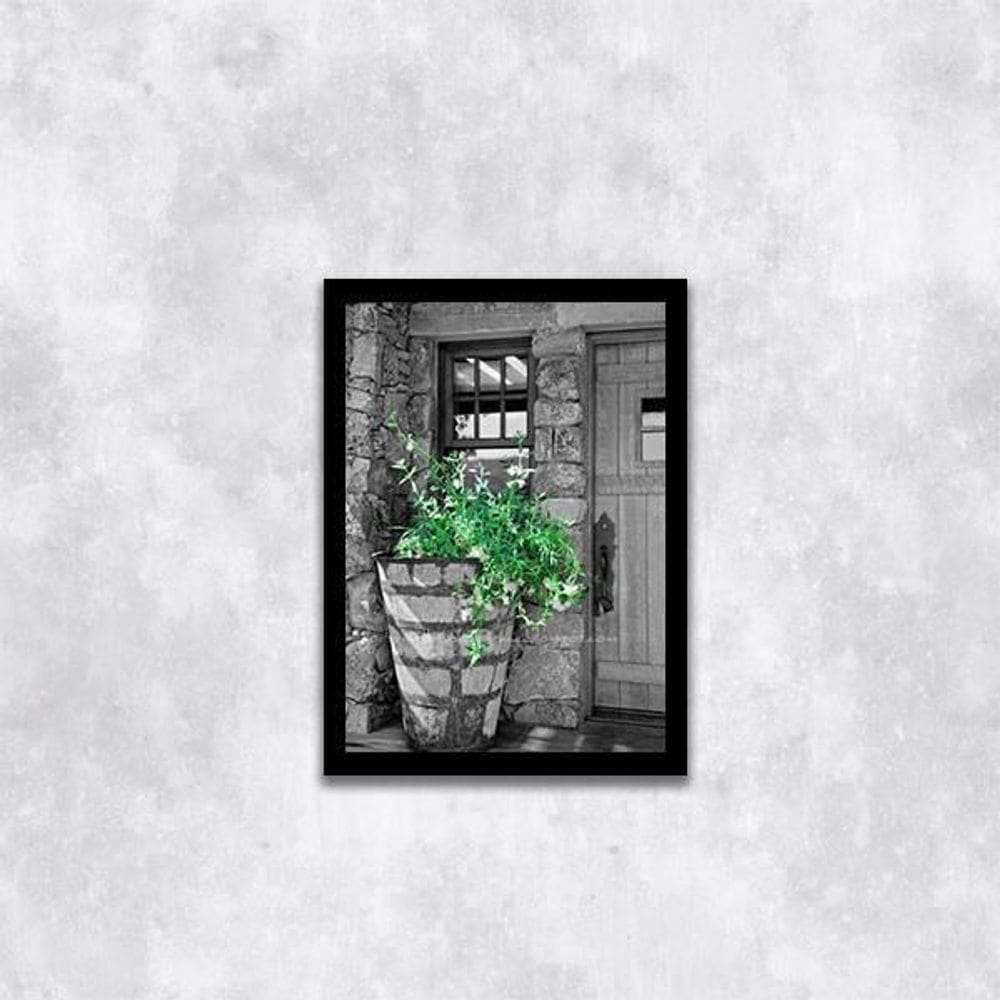 Quadro Fotografia Vaso Com Plantas 24X18Cm