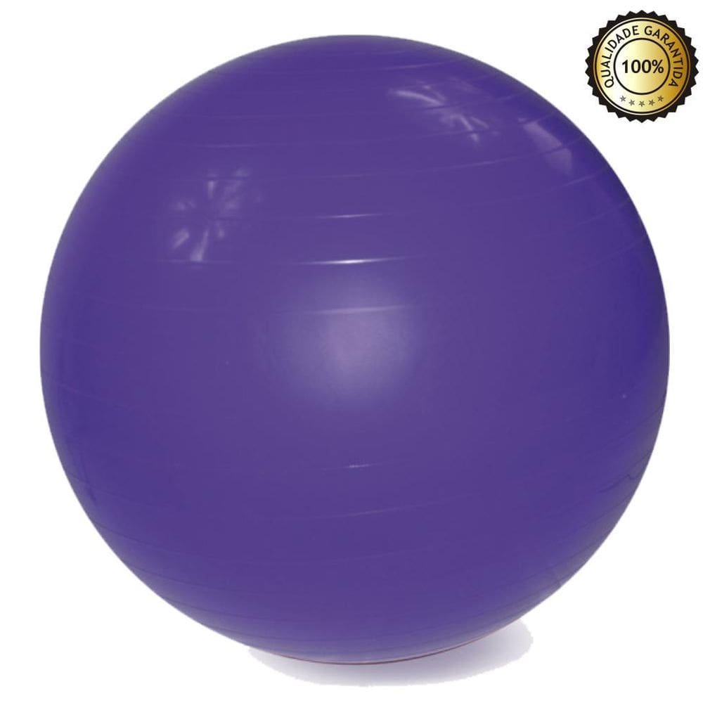 Bola De Pilates 65 Cm + Suporte De Parede